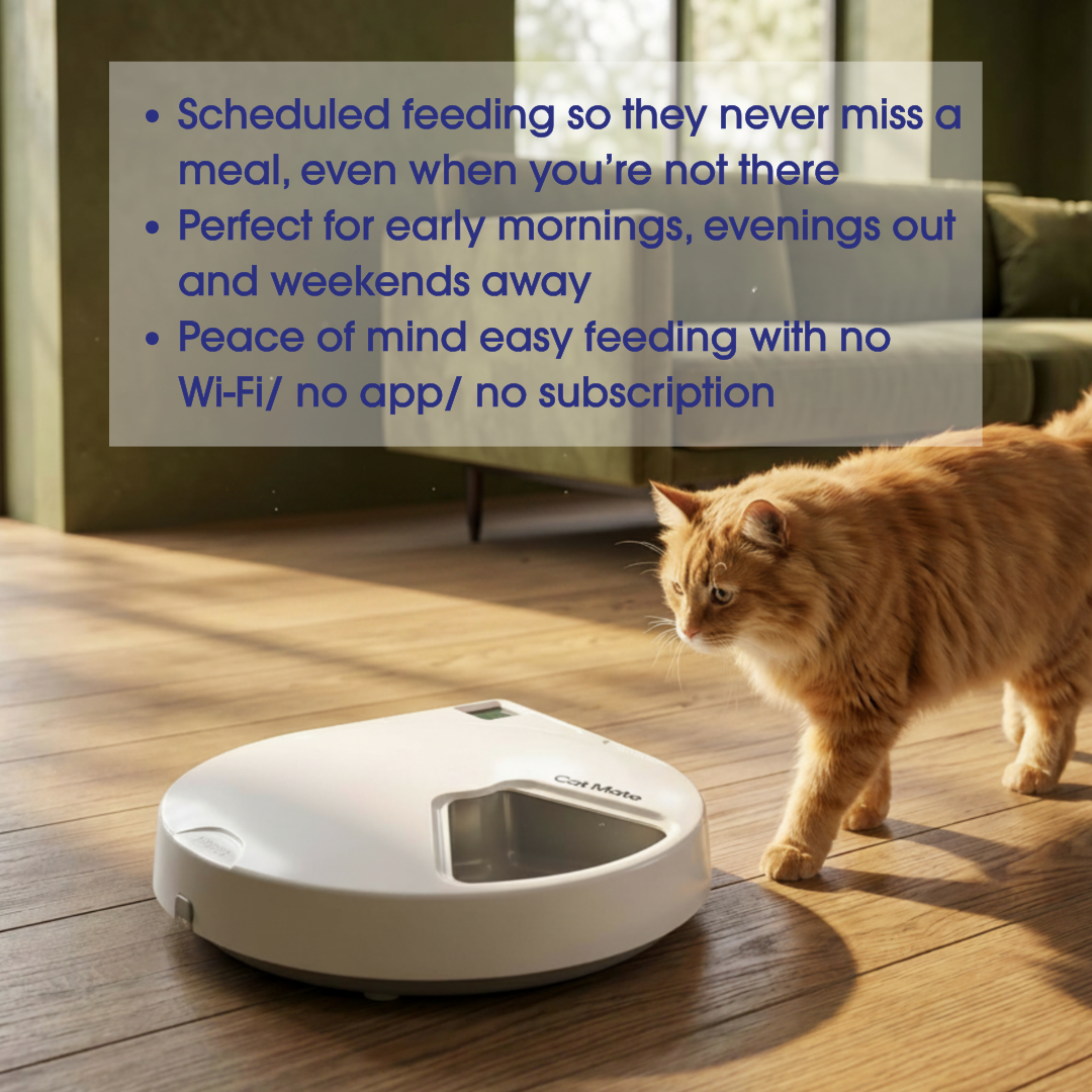 Cat Mate C500 – 5 Meal Digital Automatic Feeder with Ice Packs
