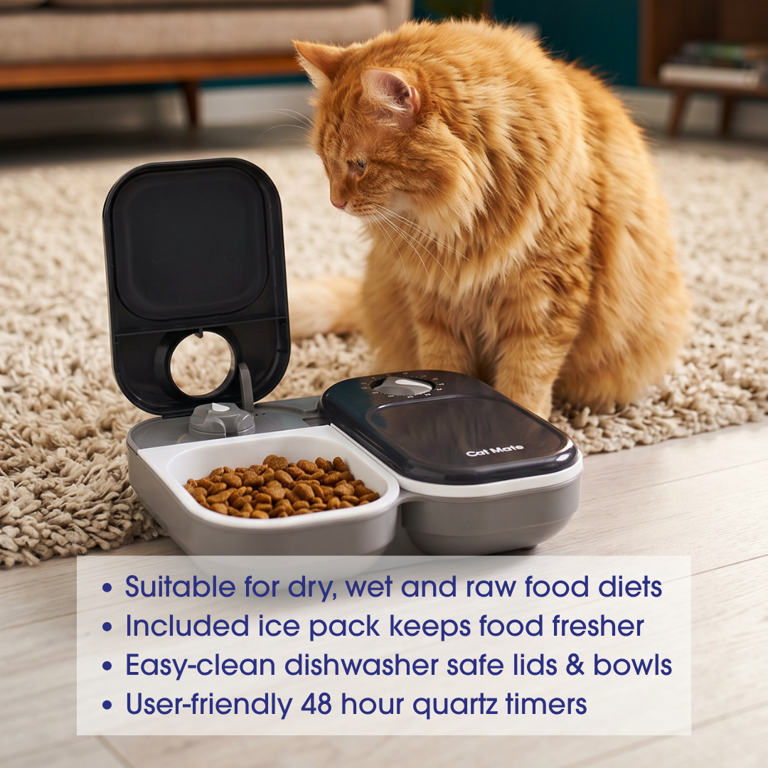 Two-meal Automatic Pet Feeder C200