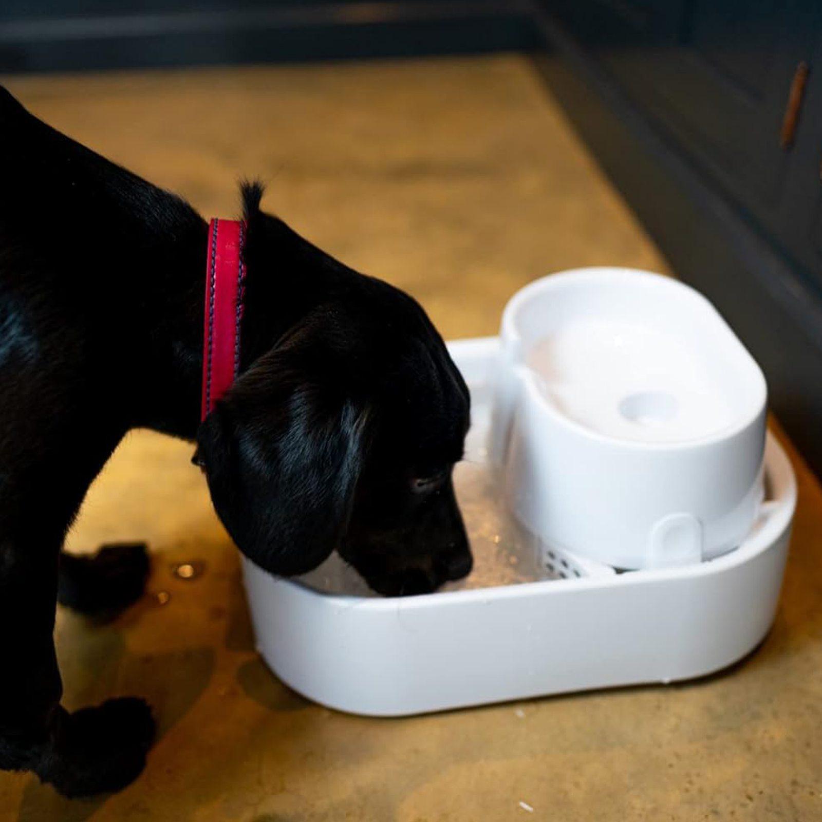 Dog Mate Large Two-level 200 Fl. Oz. Pet Fountain
