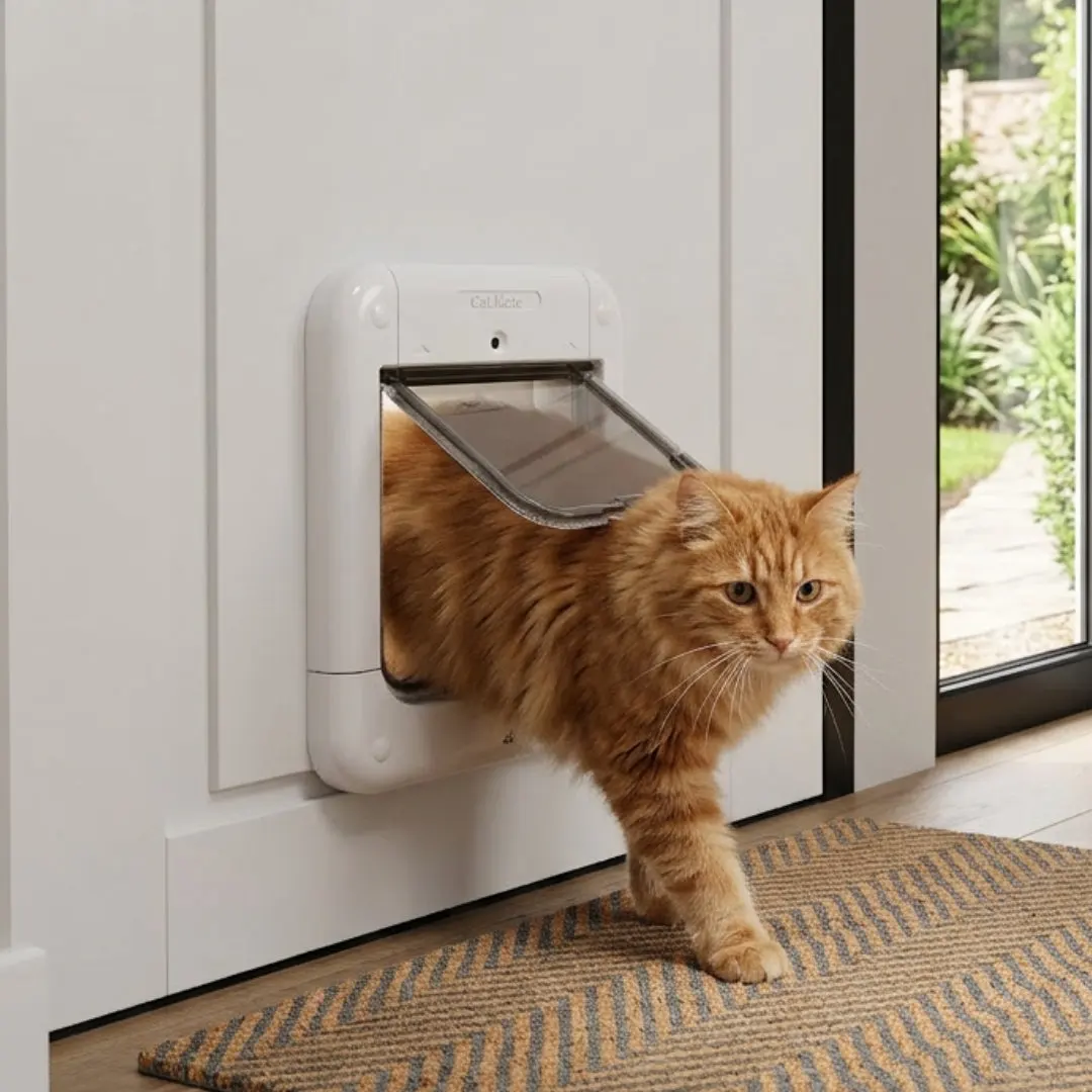 Microchip Cat Flap (360)